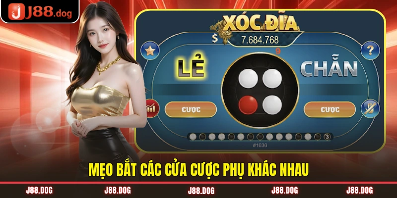 Mẹo bắt các cửa cược phụ khác nhau Mẹo bắt các cửa cược phụ khác nhau